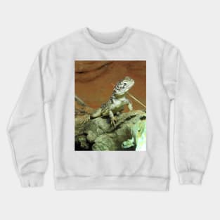 Central Netted Dragon Crewneck Sweatshirt